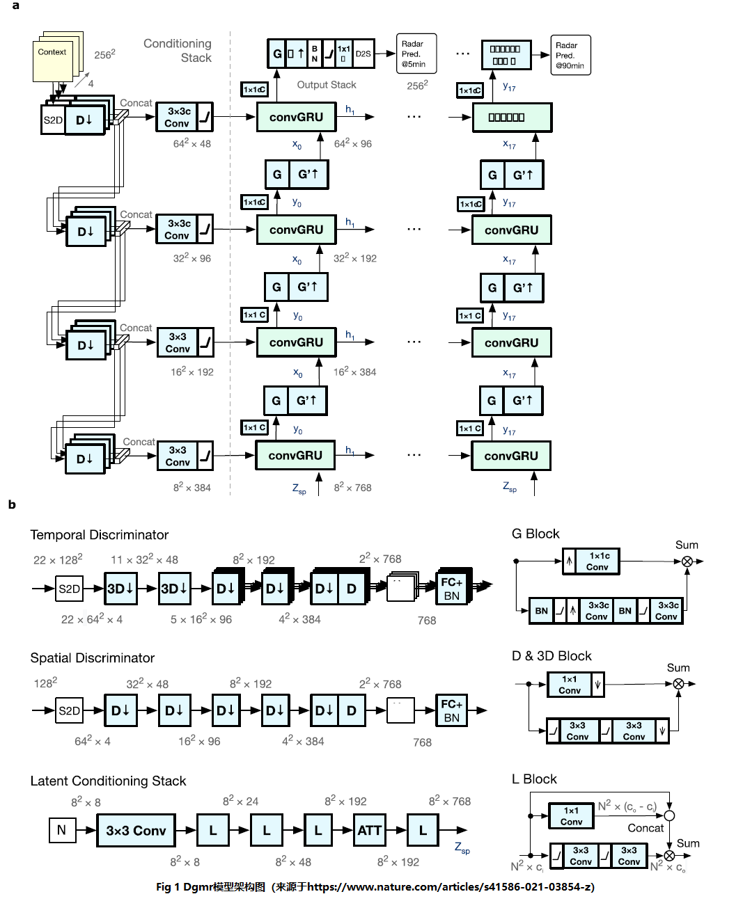 Dgmr model