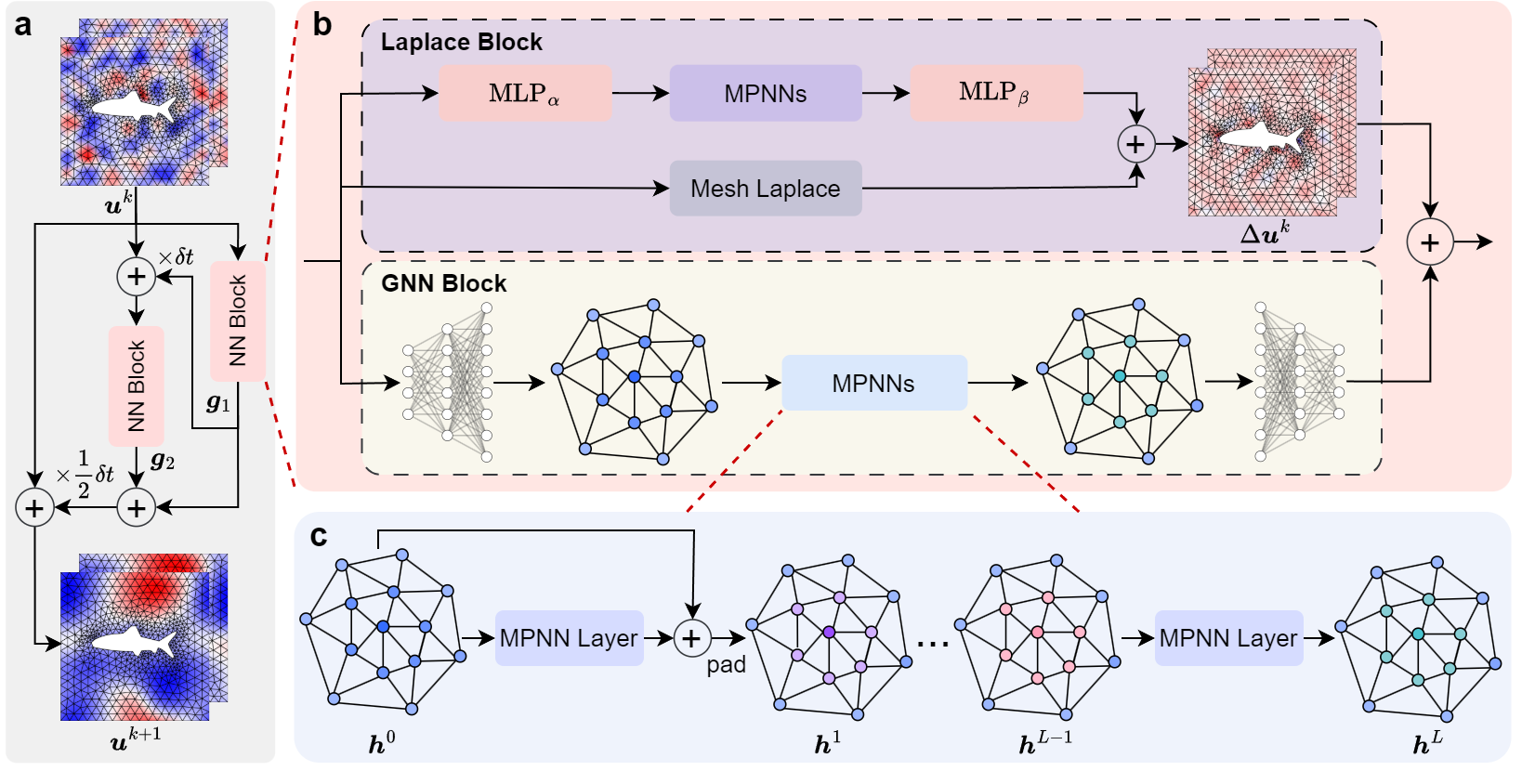 PhyMPGN network structure